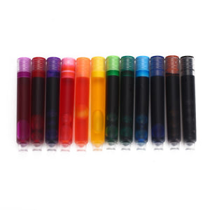 Colourful Ink Sac Fountain Pen